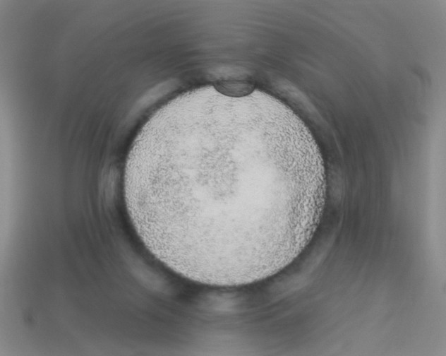 X0000113880071200910221405