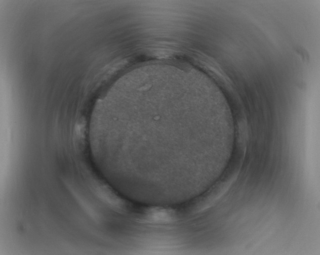 X0000113880073200910221405
