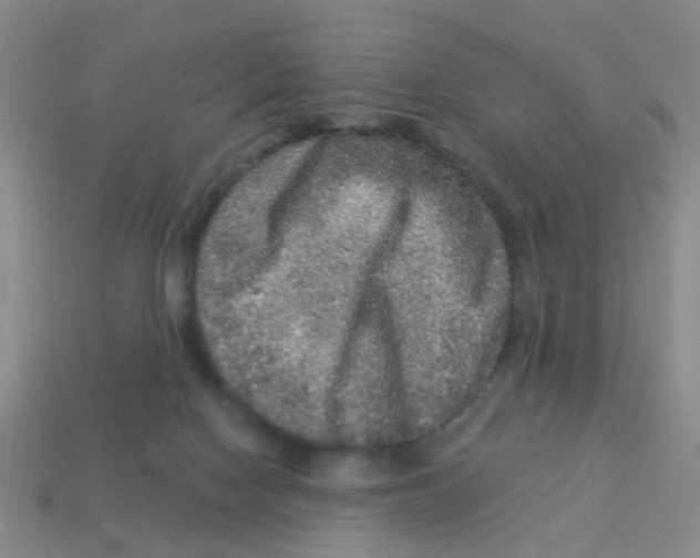 X0000113880074200910221405