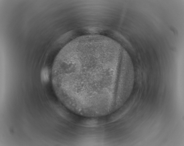 X0000113880075200910221405
