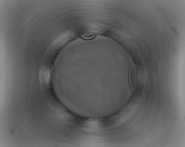 X0000113880076200910221405