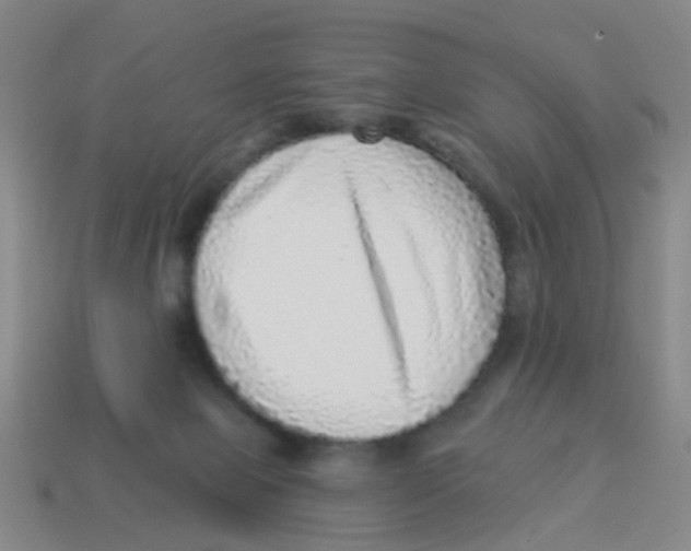 X0000113880077200910221405