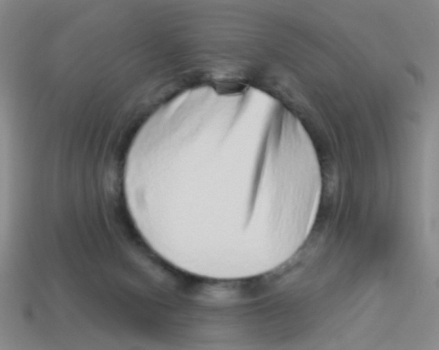 X0000113880078200910221405