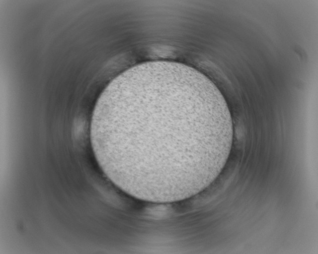 X0000113880079200910221405
