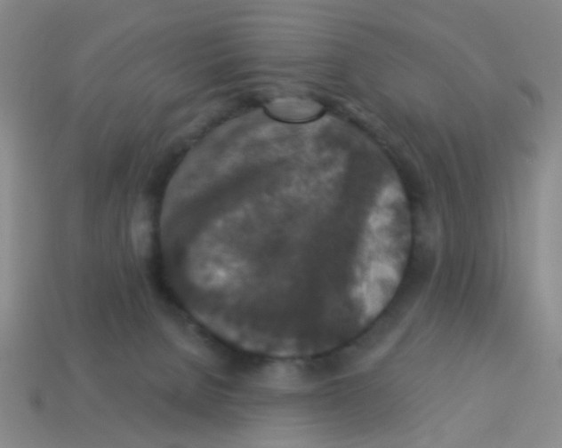 X0000113880080200910221405