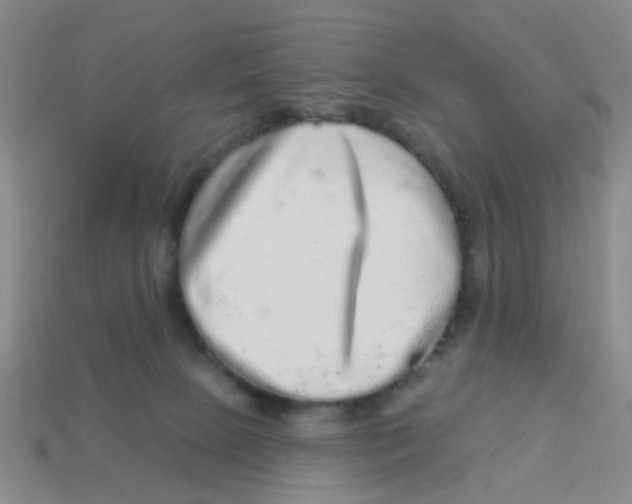 X0000113880081200910221405