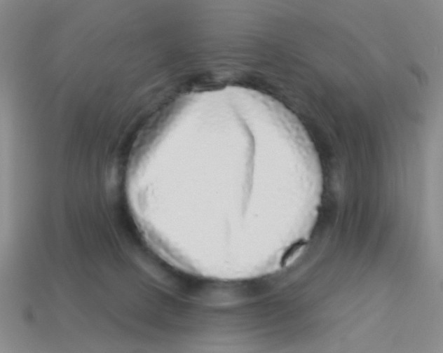X0000113880082200910221405