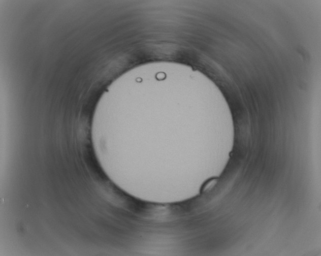 X0000113880083200910221405