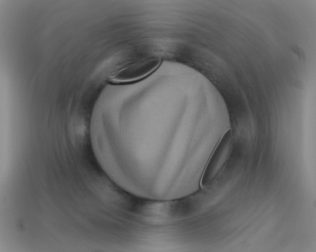 X0000113880084200910221405