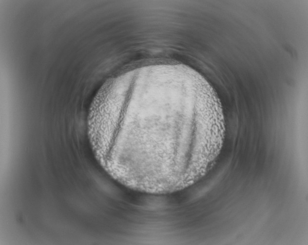 X0000113880085200910221405