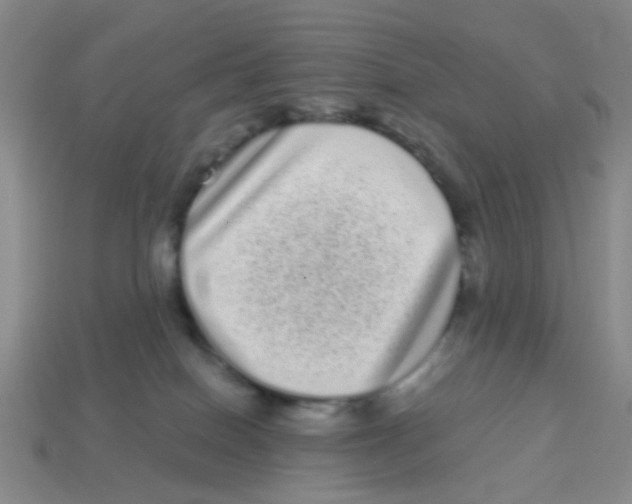 X0000113880086200910221405
