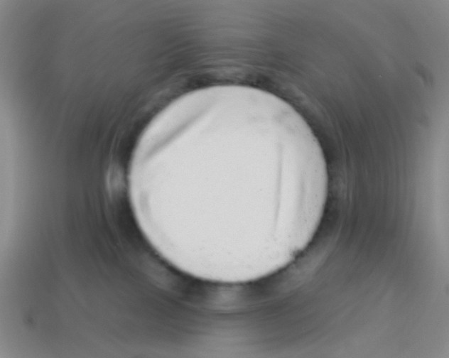 X0000113880089200910221405