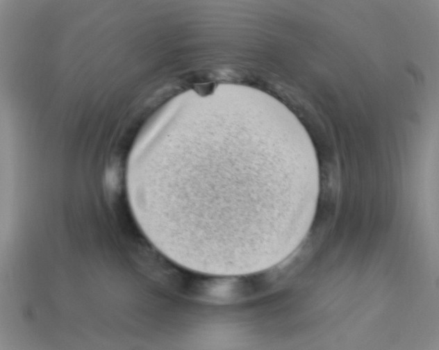 X0000113880090200910221405