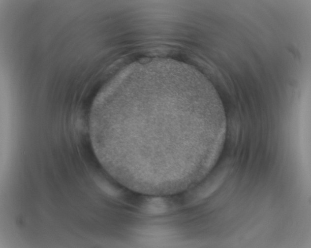 X0000113880091200910221405