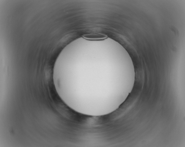 X0000113880092200910221405