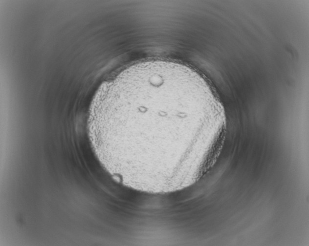 X0000113880093200910221405