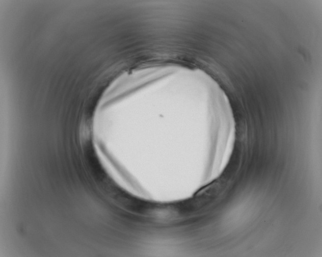 X0000113880095200910221405