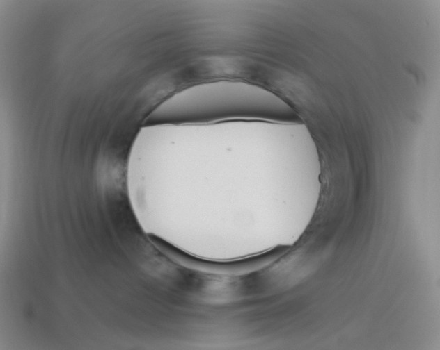 X0000113880096200910221405