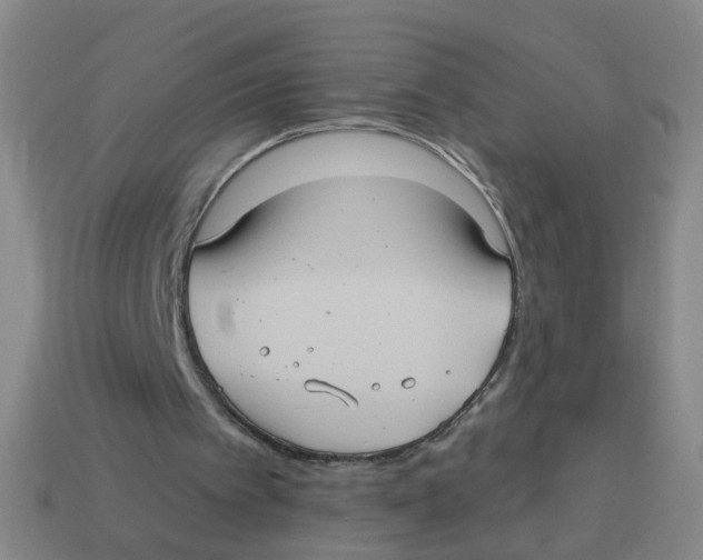 X0000113880097200910221404