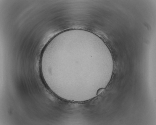 X0000113880098200910221404