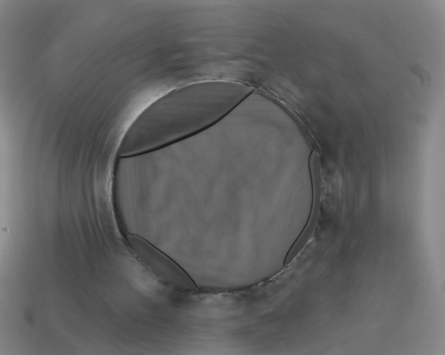 X0000113880100200910221404