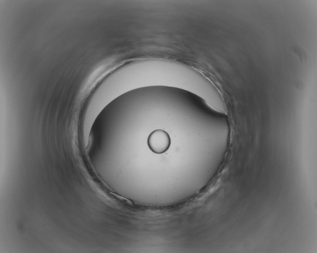 X0000113880101200910221404