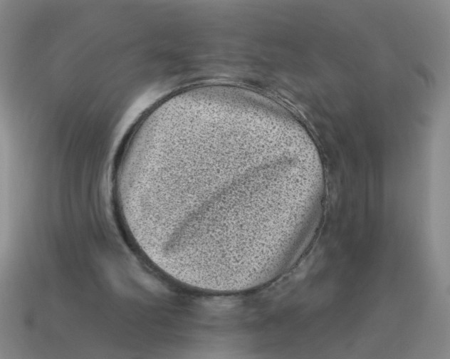 X0000113880102200910221404