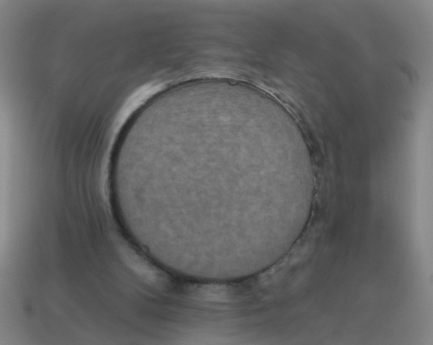 X0000113880104200910221404