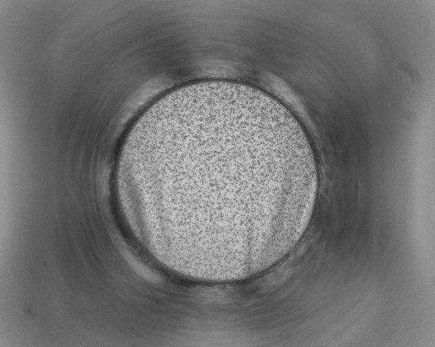 X0000113880106200910221404