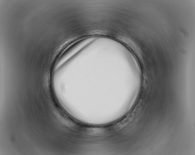 X0000113880107200910221404