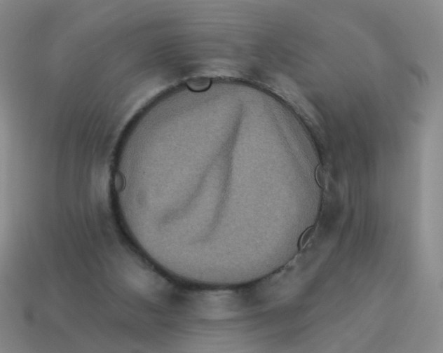 X0000113880108200910221404