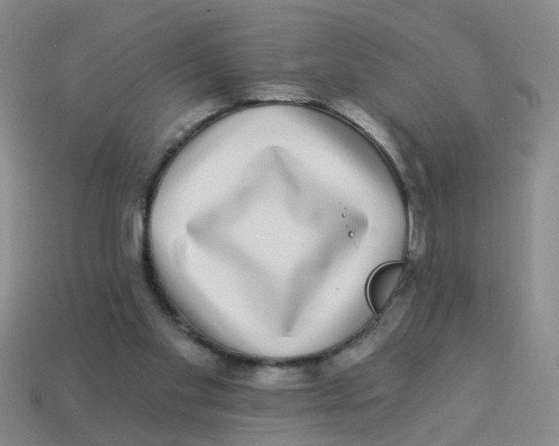 X0000113880109200910221404