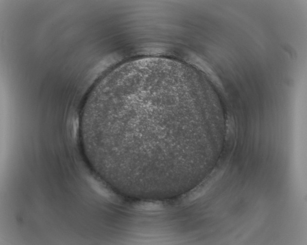X0000113880110200910221404