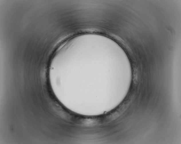X0000113880111200910221404