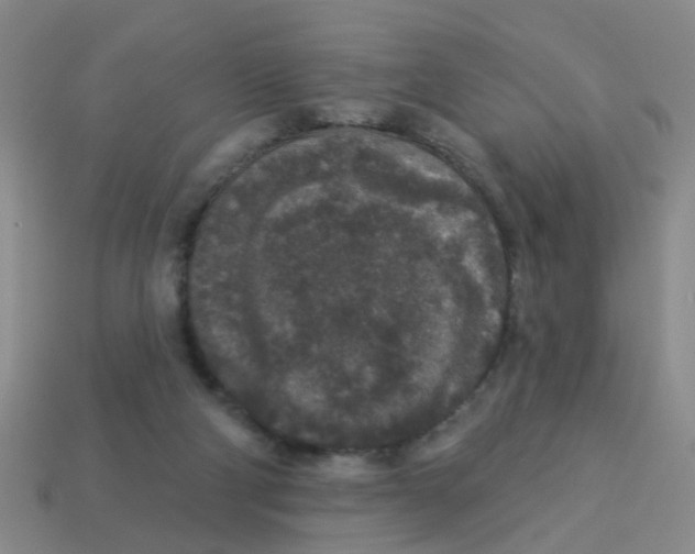X0000113880114200910221404