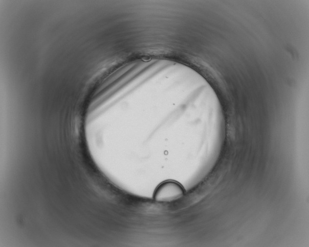 X0000113880115200910221404