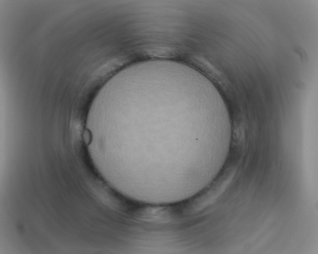 X0000113880117200910221404
