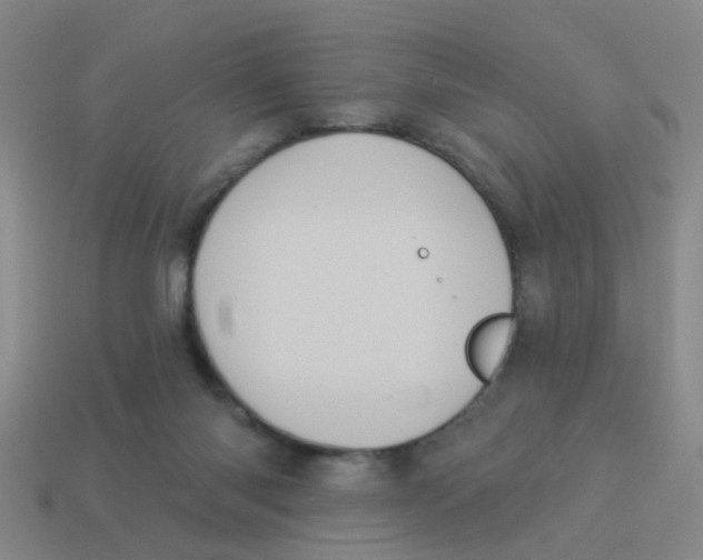 X0000113880118200910221404