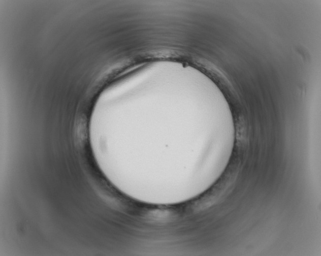 X0000113880119200910221404
