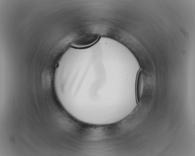 X0000113880120200910221404