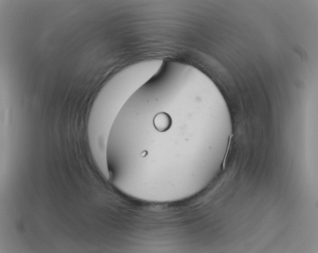 X0000113880121200910221404