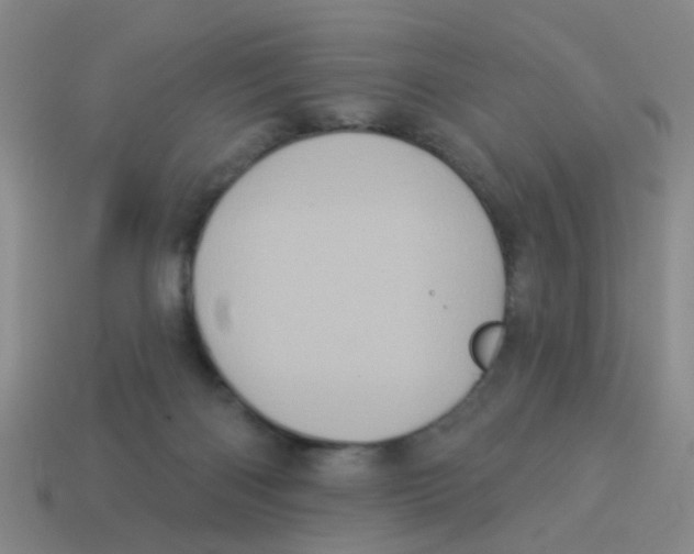 X0000113880122200910221404
