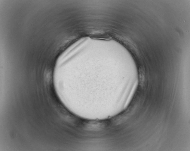 X0000113880123200910221404