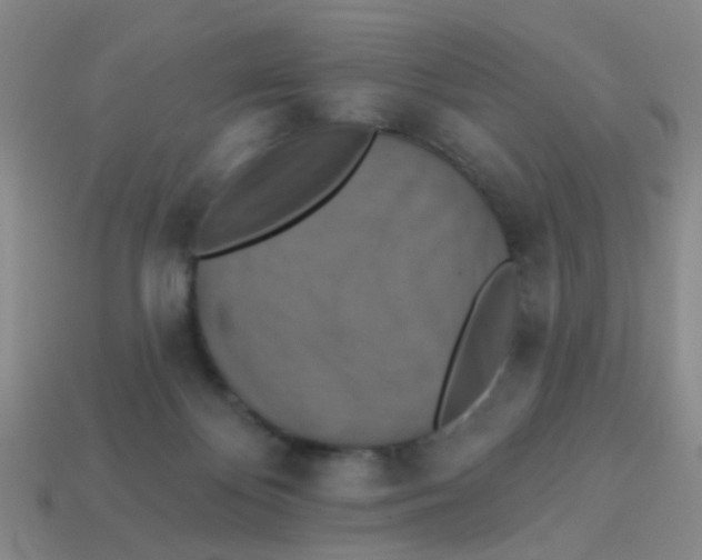 X0000113880124200910221404