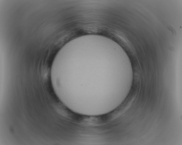 X0000113880125200910221404