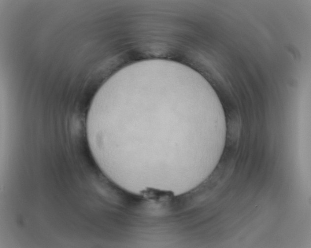 X0000113880126200910221404