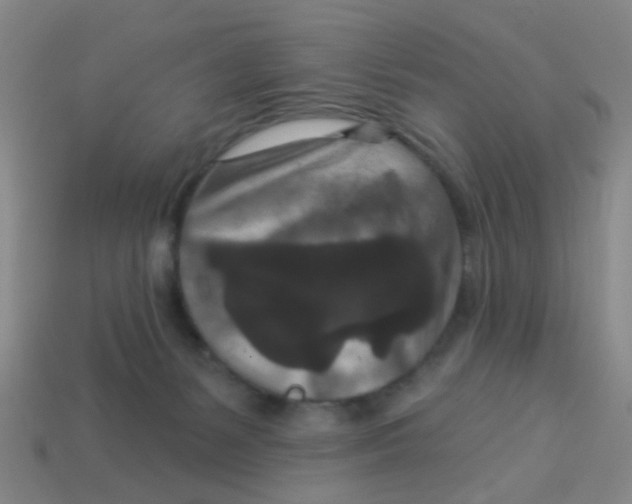 X0000113880127200910221404