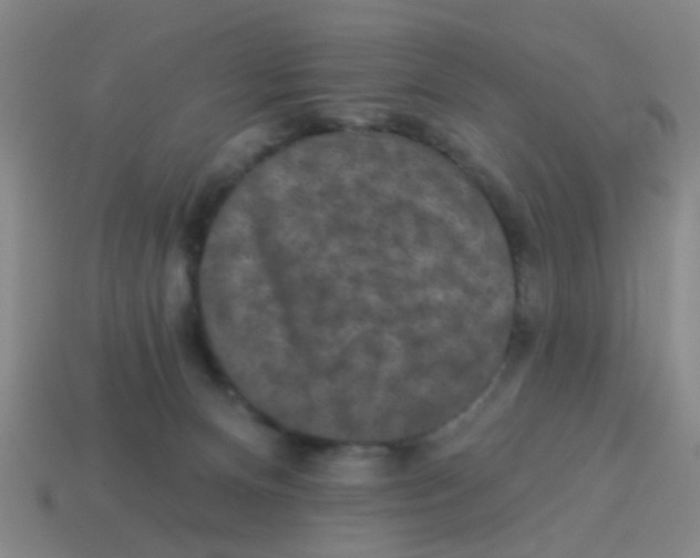 X0000113880128200910221404