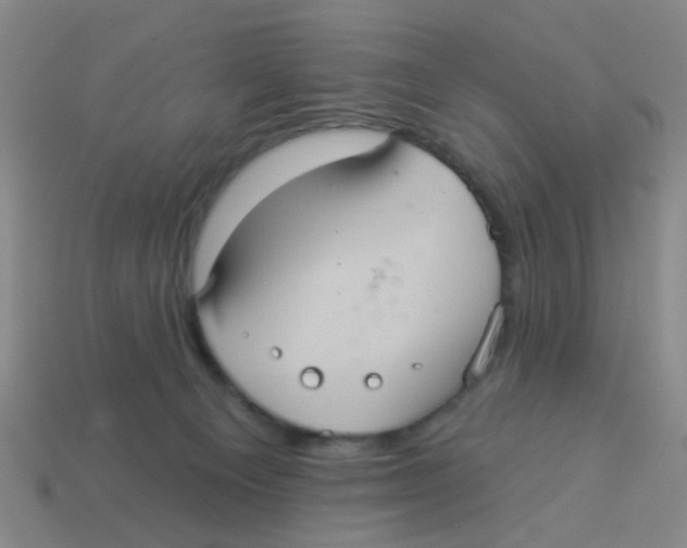 X0000113880129200910221404