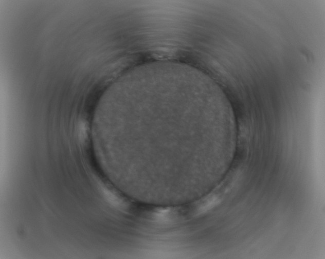 X0000113880130200910221404
